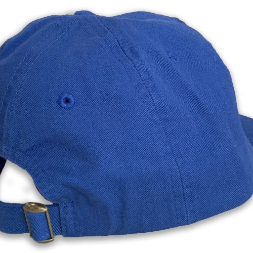 Buffalo USA Hat Back